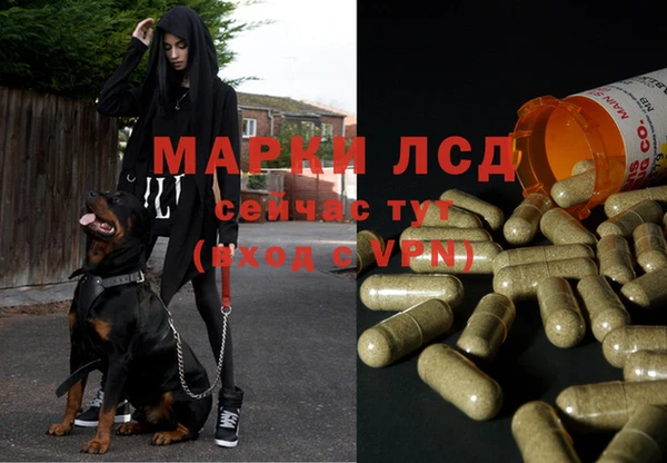 дурь Козловка