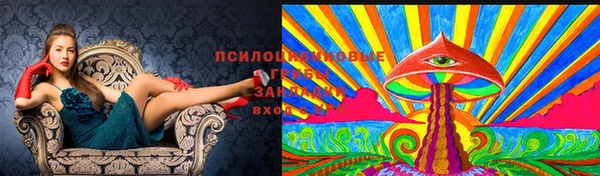 тгк Кодинск