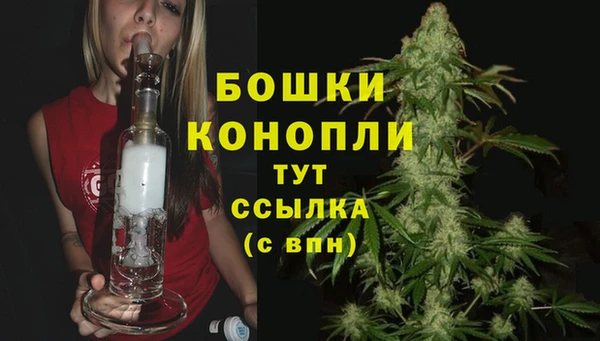 дурь Козловка